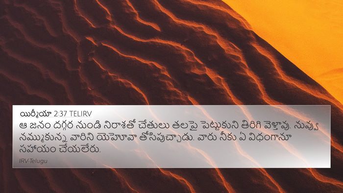 యిర్మీయా 2:37 TELIRV Bible Verse Image