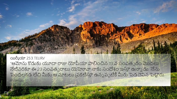 యిర్మీయా 25:3 TELIRV Bible Verse Image
