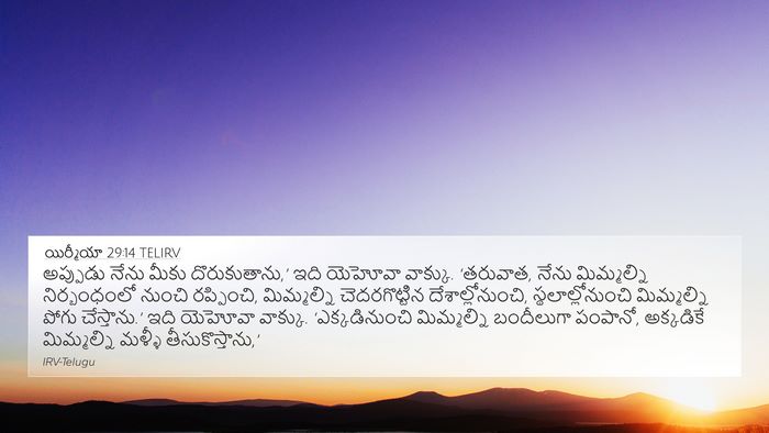 యిర్మీయా 29:14 TELIRV Bible Verse Image