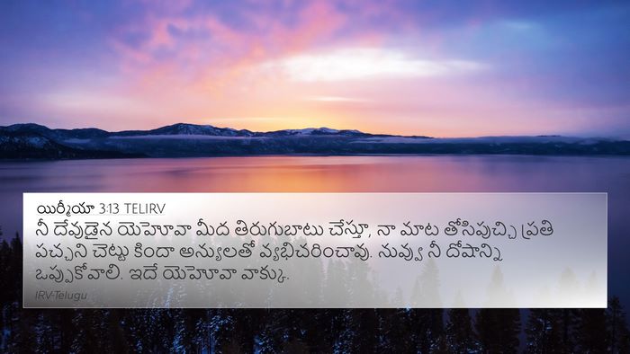 యిర్మీయా 3:13 TELIRV Bible Verse Image