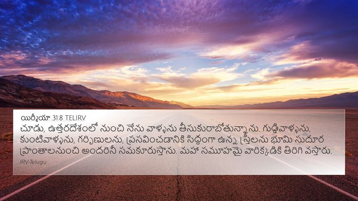 యిర్మీయా 31:8 TELIRV Bible Verse Image
