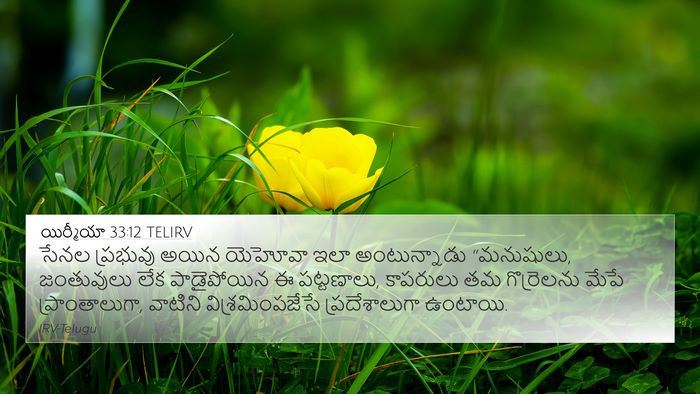 యిర్మీయా 33:12 TELIRV Bible Verse Image