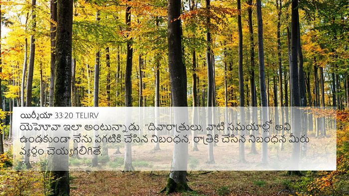 యిర్మీయా 33:20 TELIRV Bible Verse Image