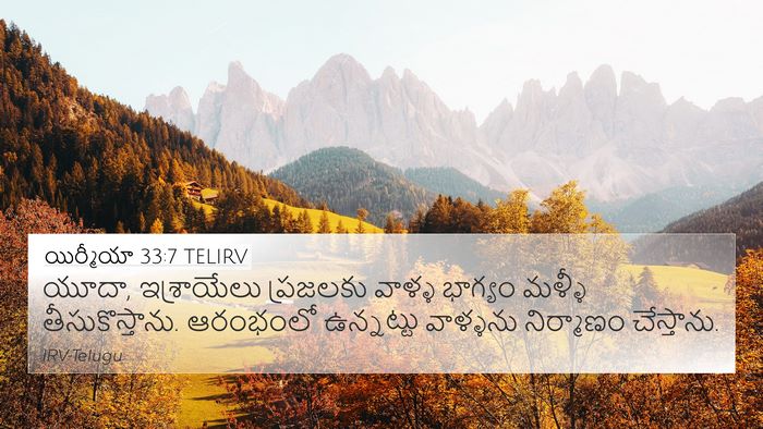 యిర్మీయా 33:7 TELIRV Bible Verse Image