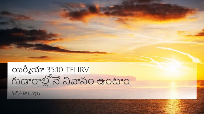 యిర్మీయా 35:10 TELIRV Bible Verse Image