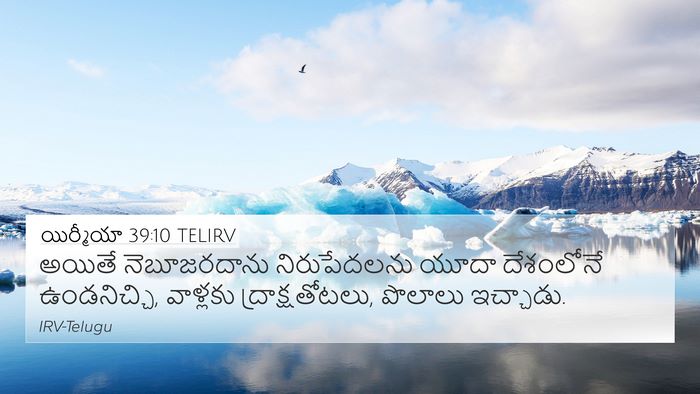 యిర్మీయా 39:10 TELIRV Bible Verse Image