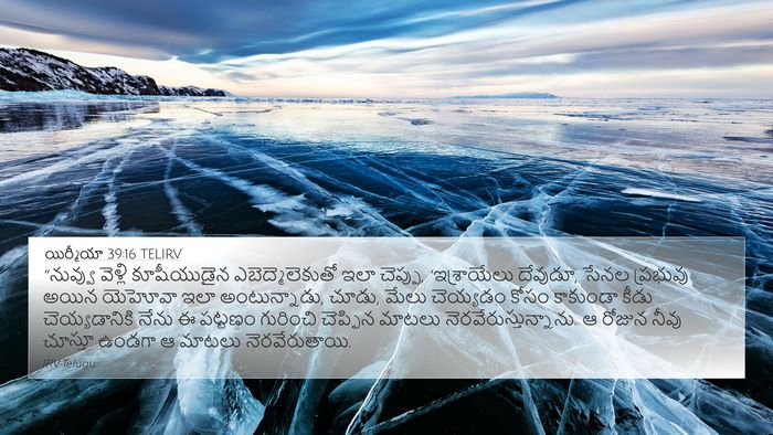 యిర్మీయా 39:16 TELIRV Bible Verse Image