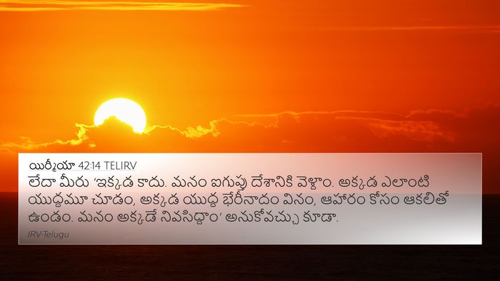 యిర్మీయా 42:14 TELIRV Bible Verse Image