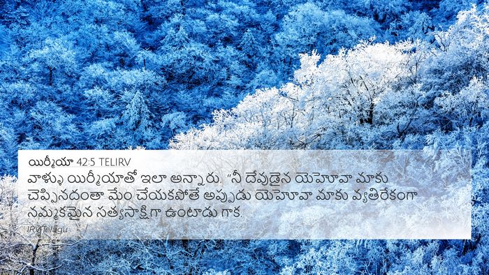 యిర్మీయా 42:5 TELIRV Bible Verse Image