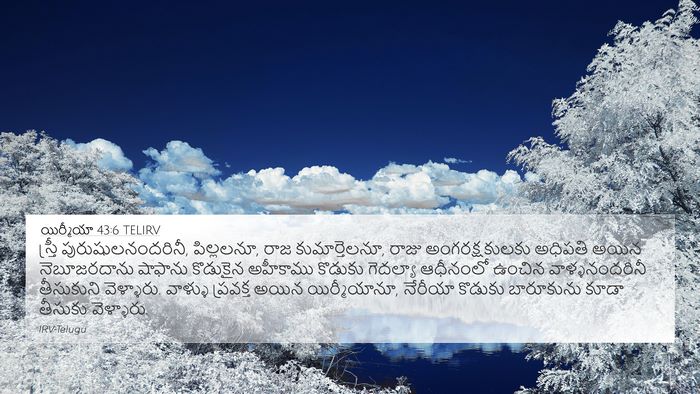 యిర్మీయా 43:6 TELIRV Bible Verse Image