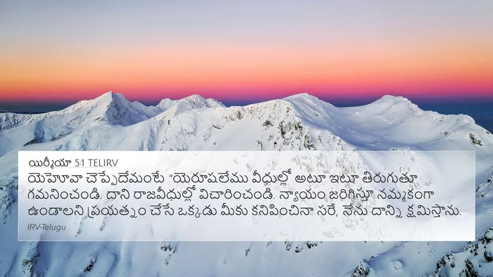 యిర్మీయా 5:1 TELIRV Bible Verse Image