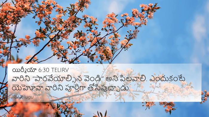 యిర్మీయా 6:30 TELIRV Bible Verse Image