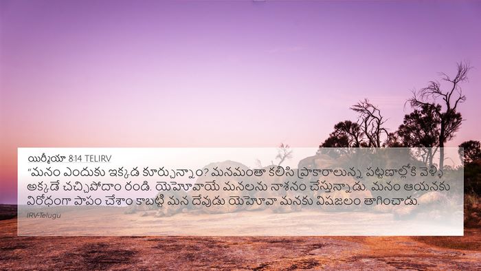 యిర్మీయా 8:14 TELIRV Bible Verse Image