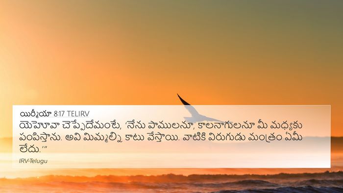 యిర్మీయా 8:17 TELIRV Bible Verse Image