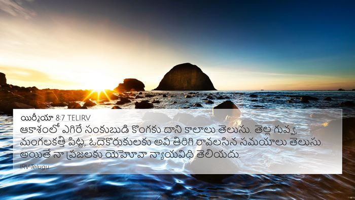 యిర్మీయా 8:7 TELIRV Bible Verse Image