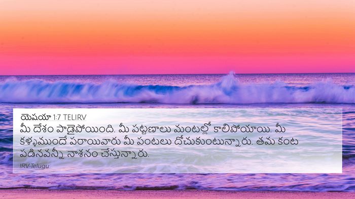 యెషయా 1:7 TELIRV Bible Verse Image