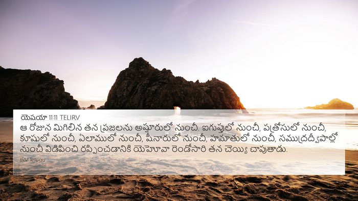 యెషయా 11:11 TELIRV Bible Verse Image