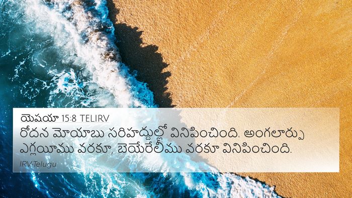 యెషయా 15:8 TELIRV Bible Verse Image