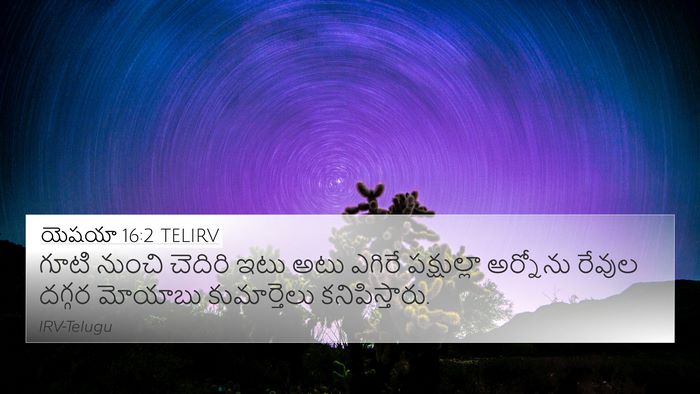 యెషయా 16:2 TELIRV Bible Verse Image