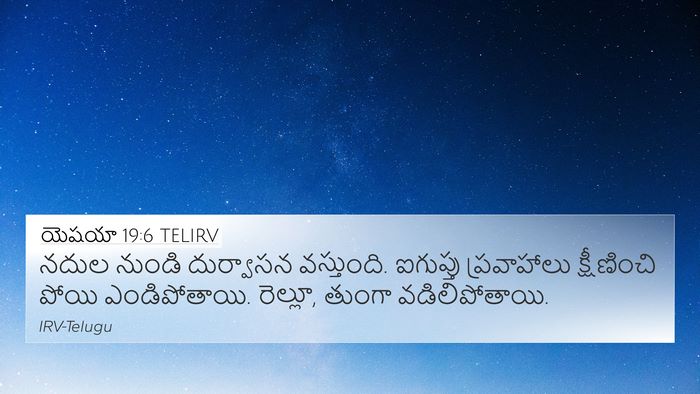 యెషయా 19:6 TELIRV Bible Verse Image