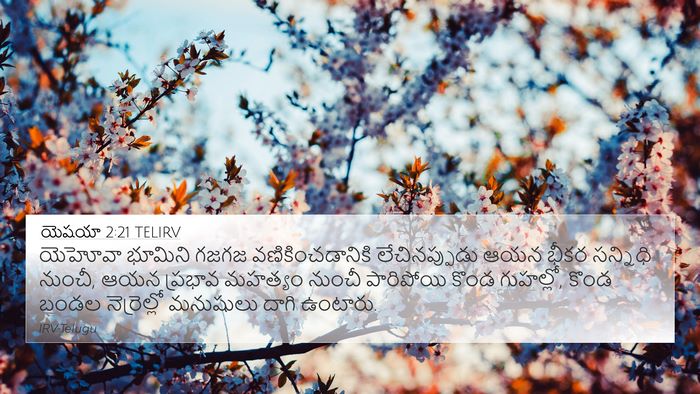 యెషయా 2:21 TELIRV Bible Verse Image