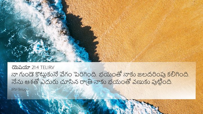 యెషయా 21:4 TELIRV Bible Verse Image