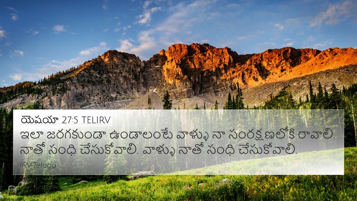 యెషయా 27:5 TELIRV Bible Verse Image