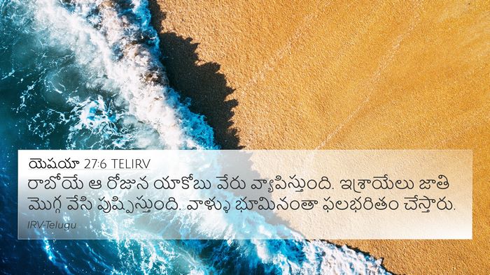 యెషయా 27:6 TELIRV Bible Verse Image