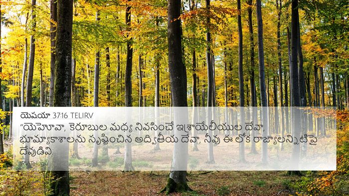 యెషయా 37:16 TELIRV Bible Verse Image