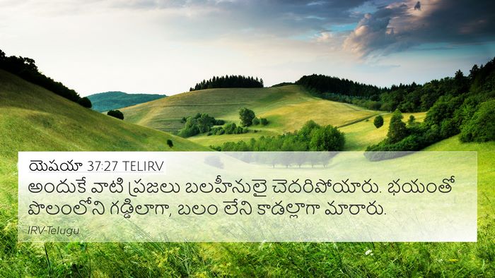 యెషయా 37:27 TELIRV Bible Verse Image