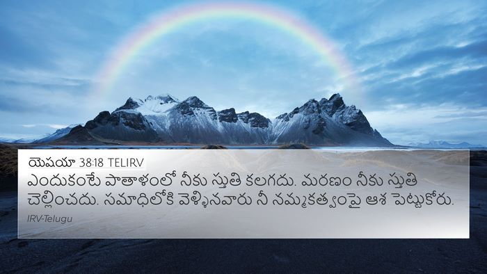 యెషయా 38:18 TELIRV Bible Verse Image
