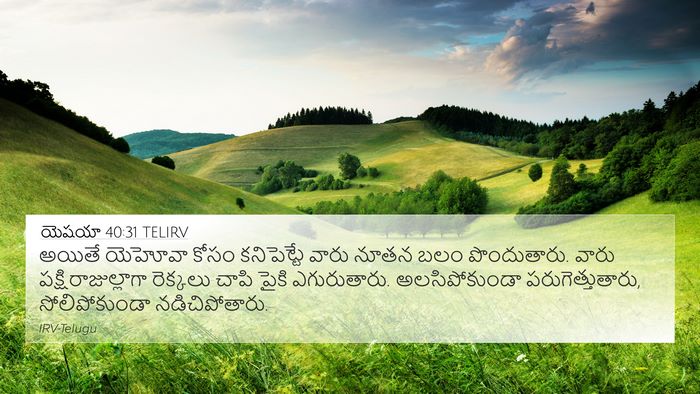 యెషయా 40:31 TELIRV Bible Verse Image