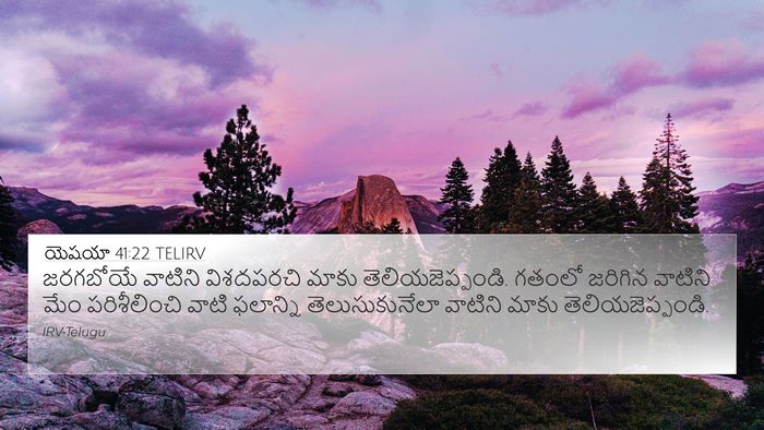 యెషయా 41:22 TELIRV Bible Verse Image