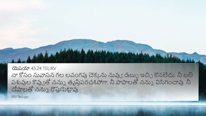 యెషయా 43:24 TELIRV Bible Verse Image