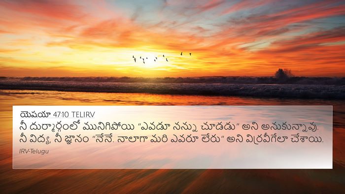 యెషయా 47:10 TELIRV Bible Verse Image