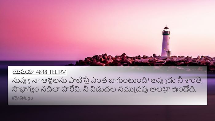 యెషయా 48:18 TELIRV Bible Verse Image