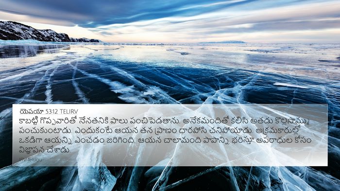 యెషయా 53:12 TELIRV Bible Verse Image
