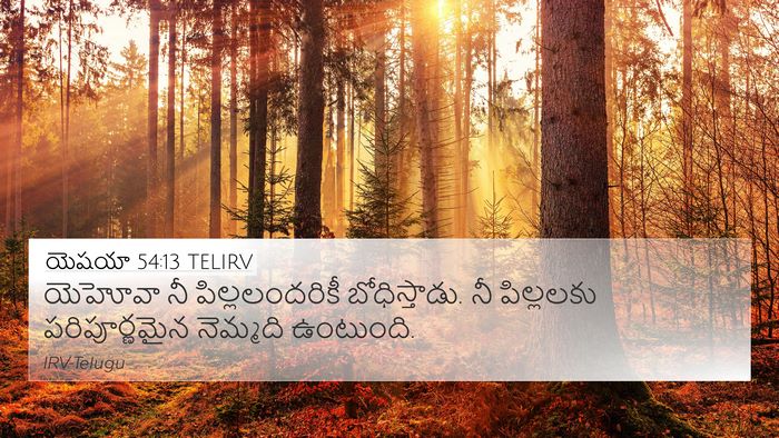 యెషయా 54:13 TELIRV Bible Verse Image
