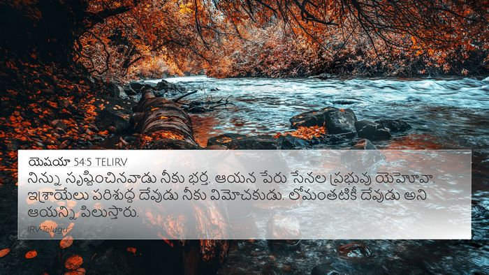 యెషయా 54:5 TELIRV Bible Verse Image