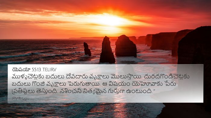 యెషయా 55:13 TELIRV Bible Verse Image