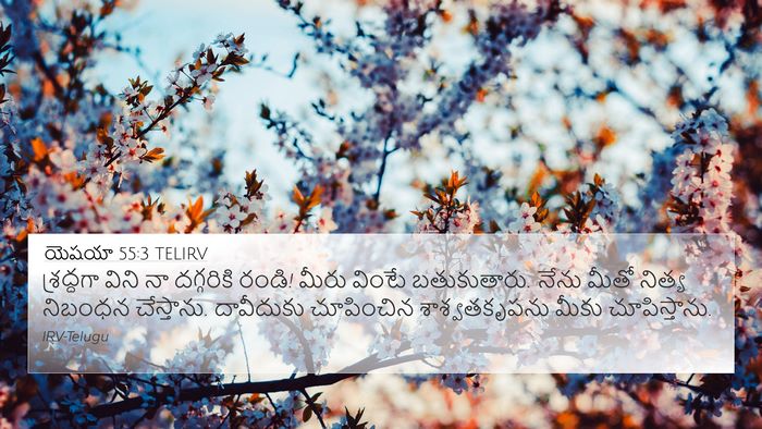 యెషయా 55:3 TELIRV Bible Verse Image