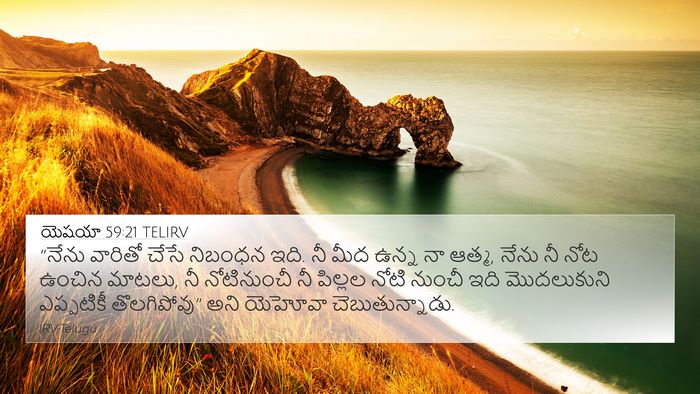 యెషయా 59:21 TELIRV Bible Verse Image