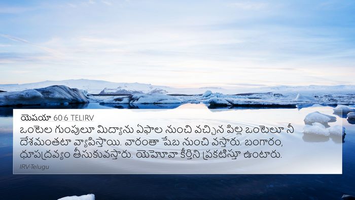 యెషయా 60:6 TELIRV Bible Verse Image