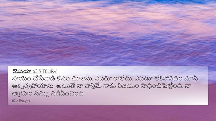 యెషయా 63:5 TELIRV Bible Verse Image