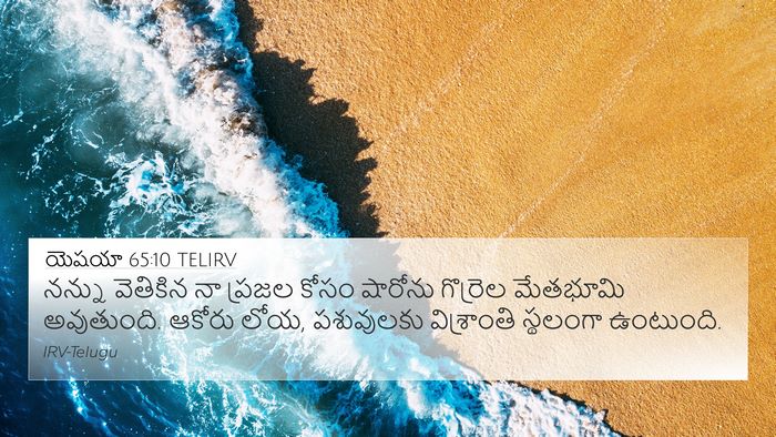 యెషయా 65:10 TELIRV Bible Verse Image