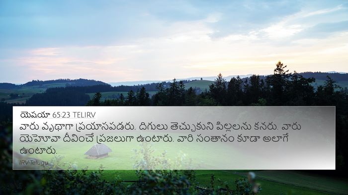 యెషయా 65:23 TELIRV Bible Verse Image