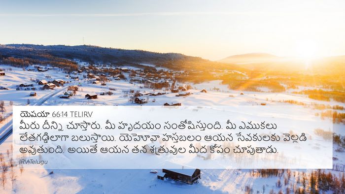 యెషయా 66:14 TELIRV Bible Verse Image