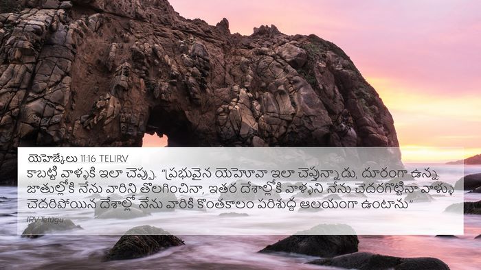 యెహెజ్కేలు 11:16 TELIRV Bible Verse Image