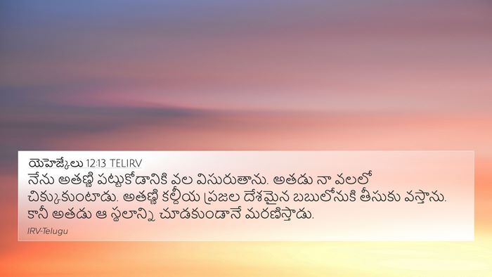 యెహెజ్కేలు 12:13 TELIRV Bible Verse Image
