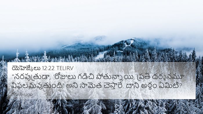 యెహెజ్కేలు 12:22 TELIRV Bible Verse Image